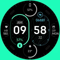 TKS 14 Gauge Watch Face